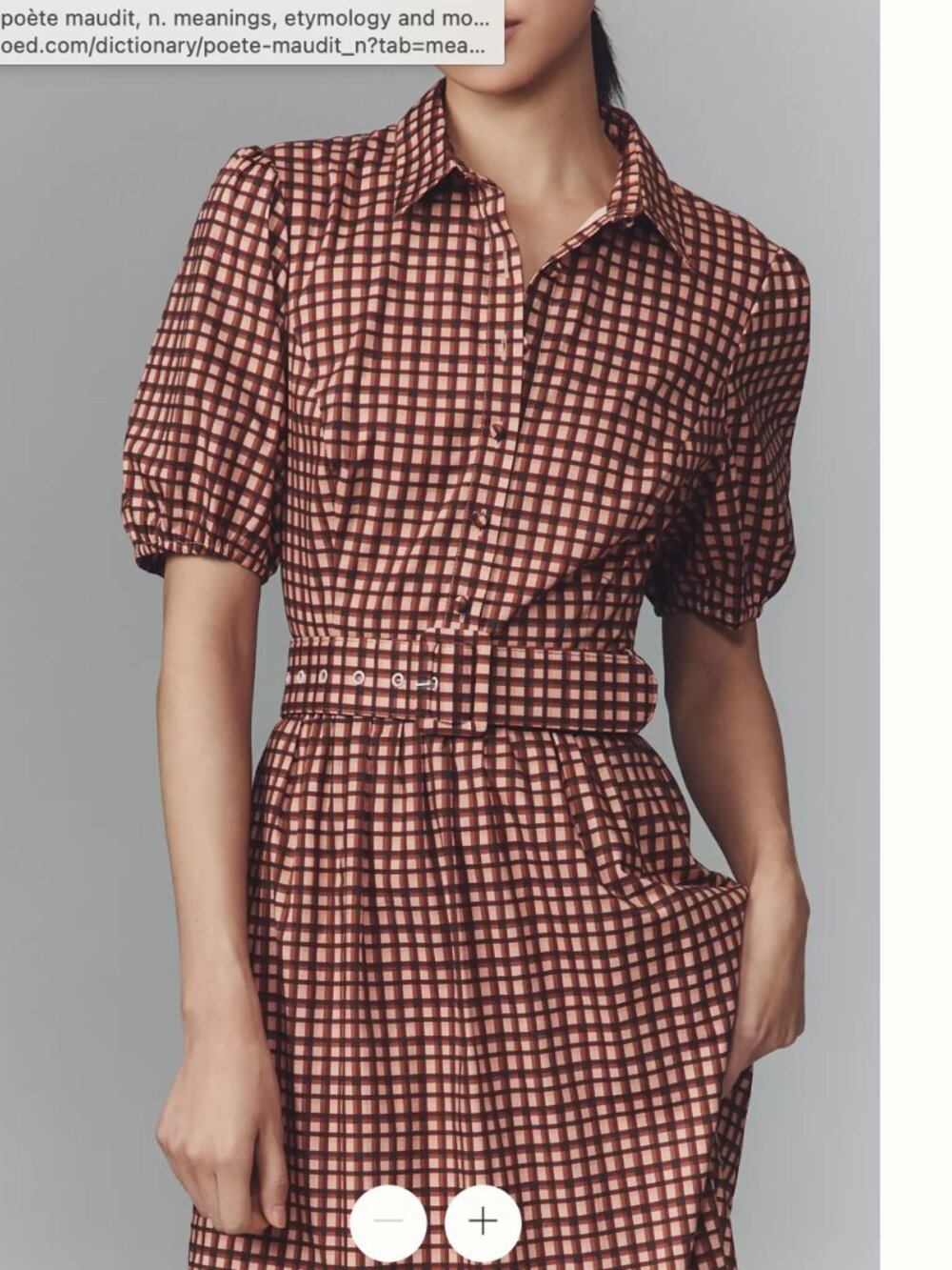 Anthropologie Hutch Parker Short Sleeved Belted Midi Dress